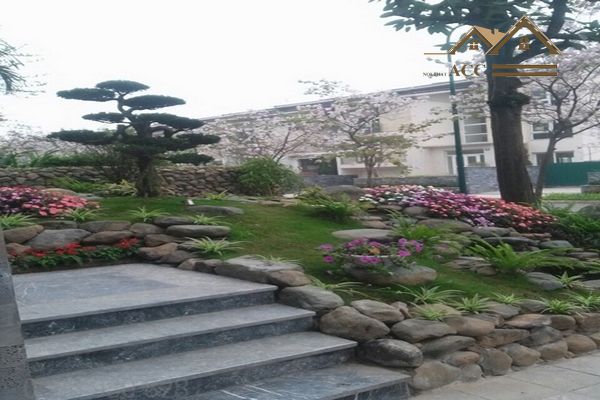 thiet-ke-tieu-canh-san-vuon-dep_12 (Copy)_result.jpg