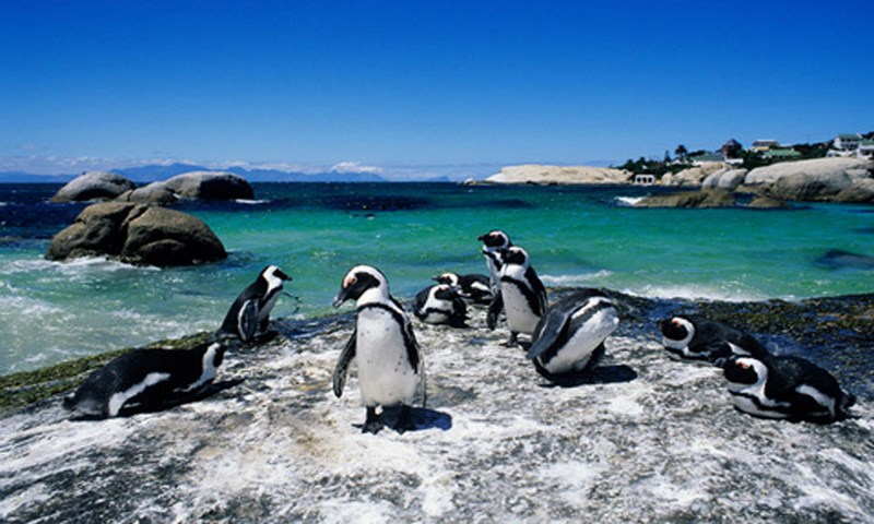 802_bai-bien-Rocks-Beach (Copy).jpg