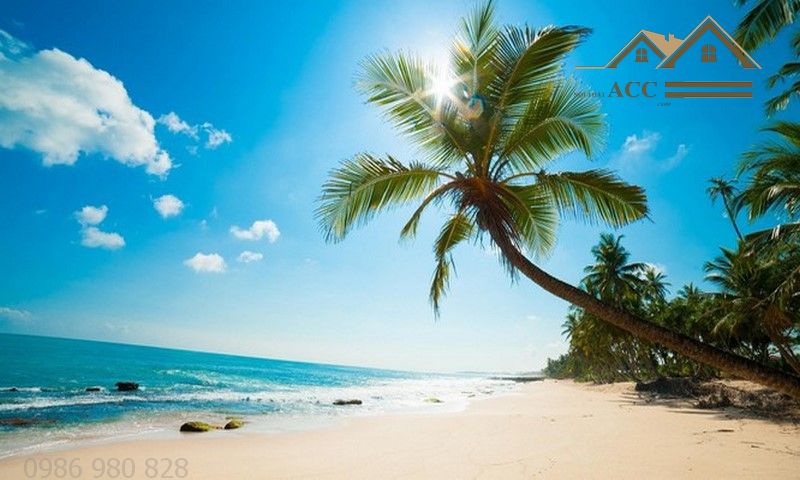 bai_sao_phu_quoc_viet_nam64256_2612019 (Copy)_result.jpg