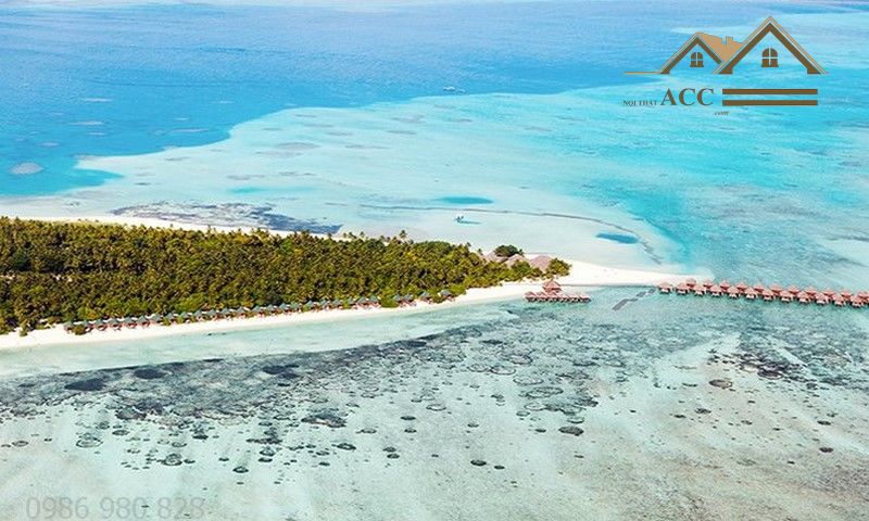 dao_meeru_dao_san_ho_bac_maldives3262061_2512019 (Copy)_result.jpg